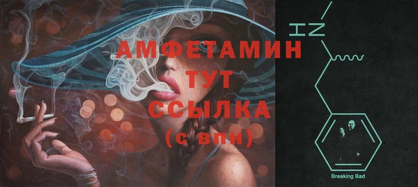 гашик Няндома