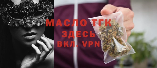 гашик Няндома