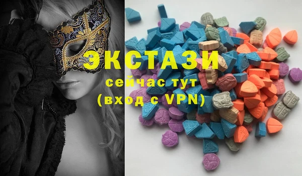 гашик Няндома