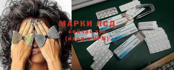 гашик Няндома