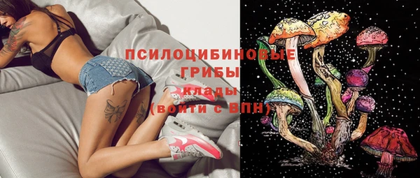 гашик Няндома