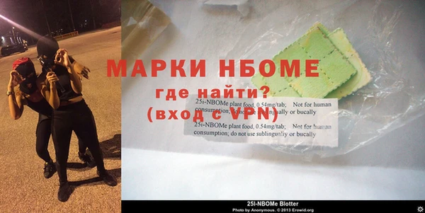 гашик Няндома