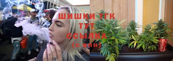 индика Апатиты