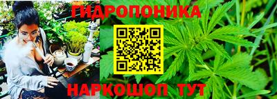 прущие грибы Бугуруслан