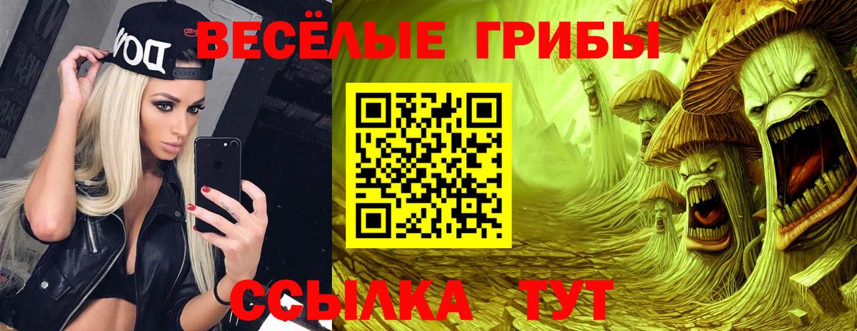 Псилоцибиновые грибы мицелий Красноуфимск