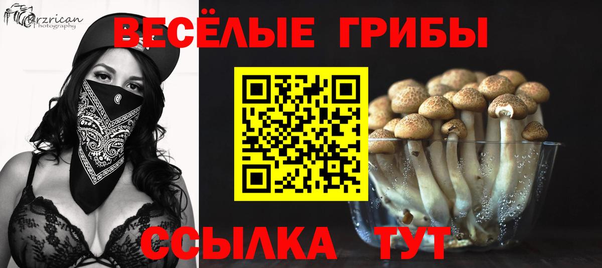 Галлюциногенные грибы прущие грибы  Красноуфимск 